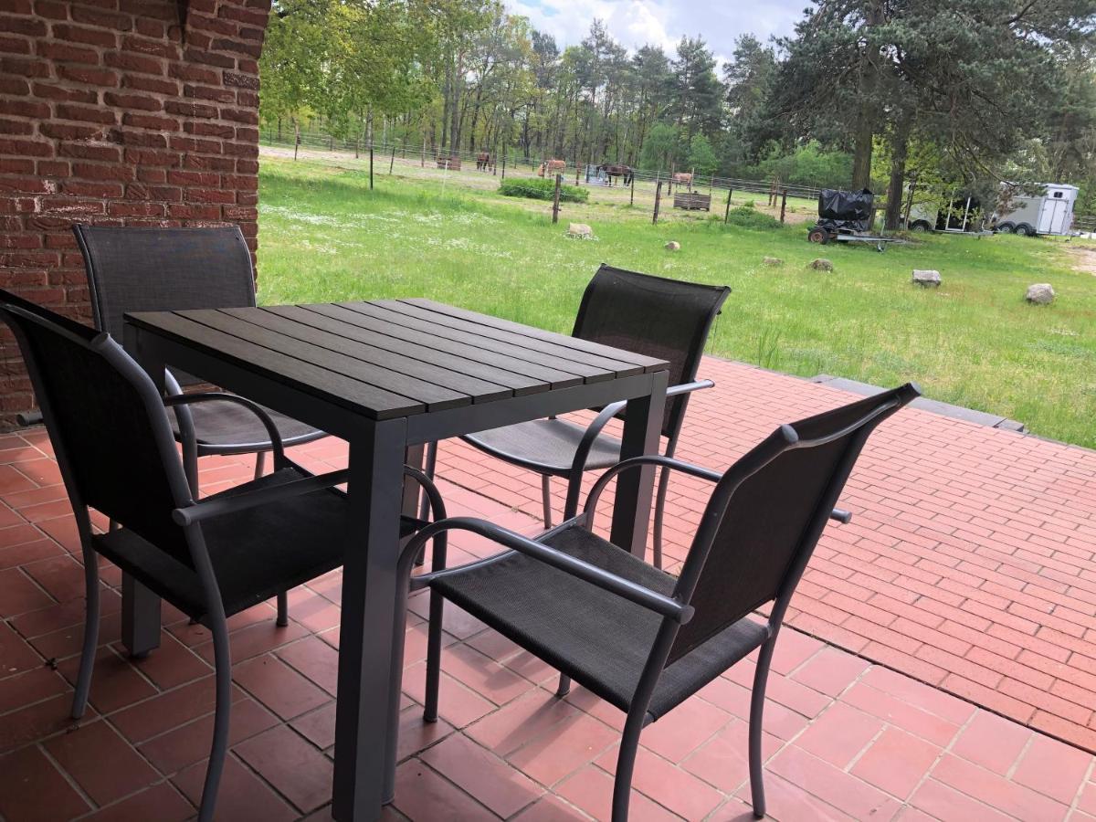 Bernsteinsee Ferienwohnungen Und Apartments Sassenburg Bagian luar foto